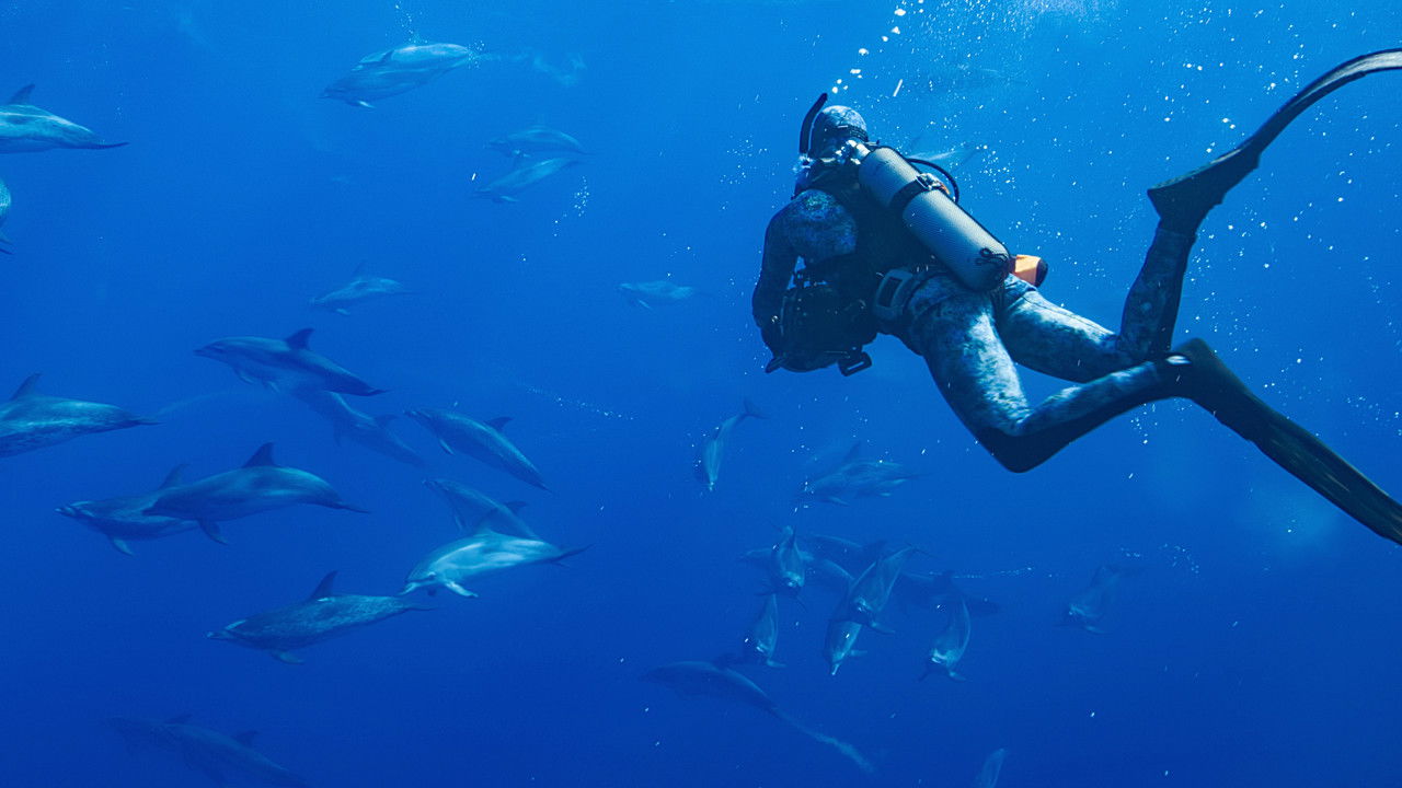 Dolphins Up Close with Bertie Gregory Movie Screenshot 4