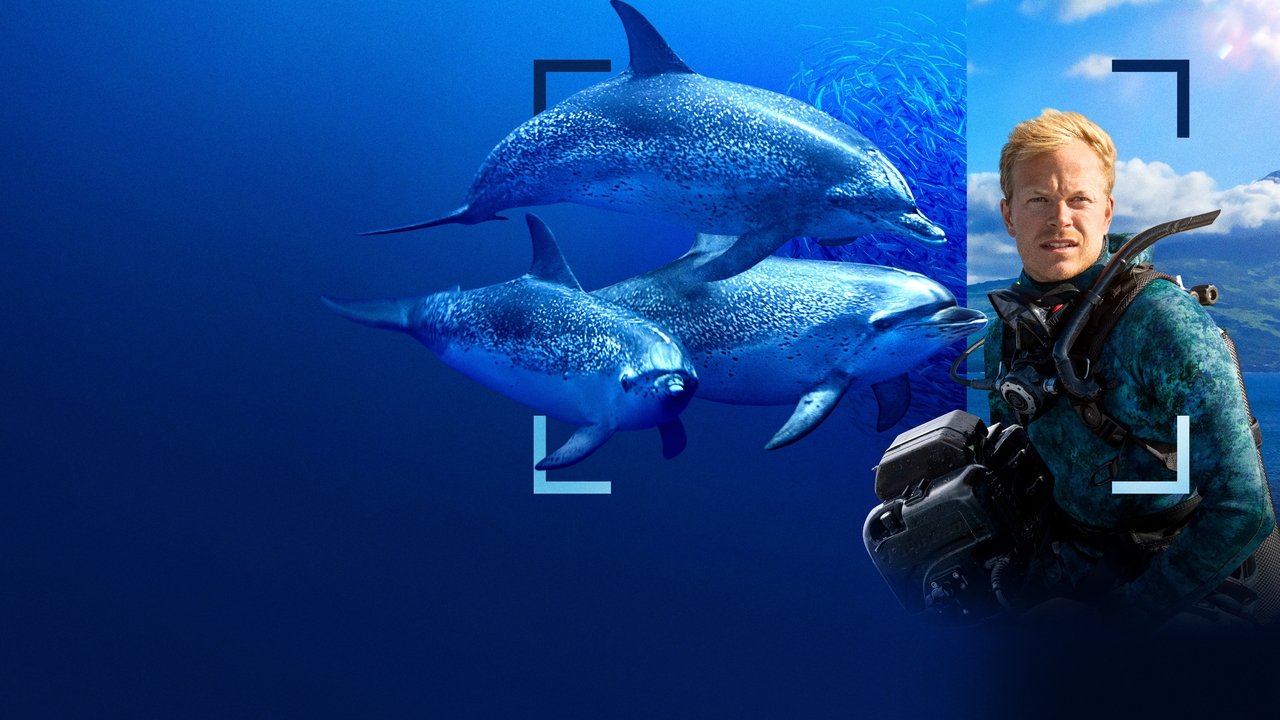 Dolphins Up Close with Bertie Gregory Movie Screenshot 1