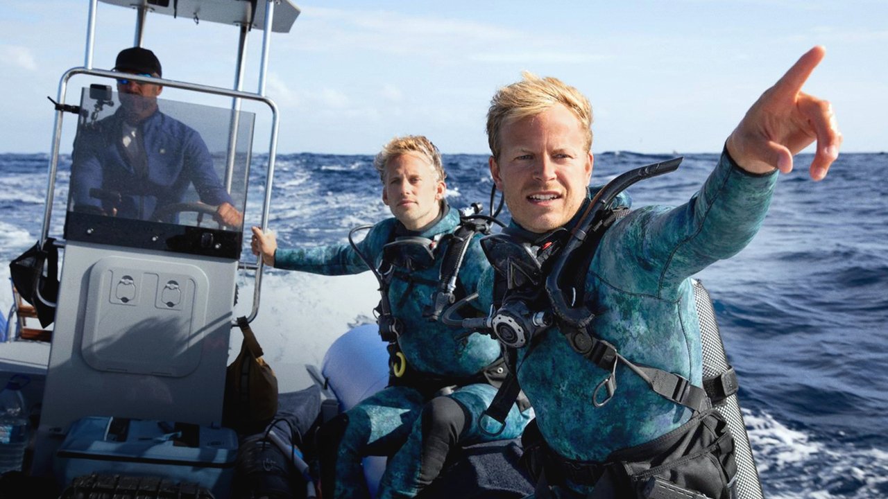 Dolphins Up Close with Bertie Gregory Movie Screenshot 3